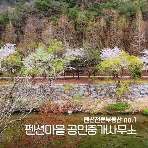 [11045] 충북 단양 선암계곡 인근 힐링펜션임대(숙박)
